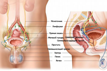 Простатит