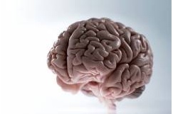 2. Что вызывает отек мозга?
